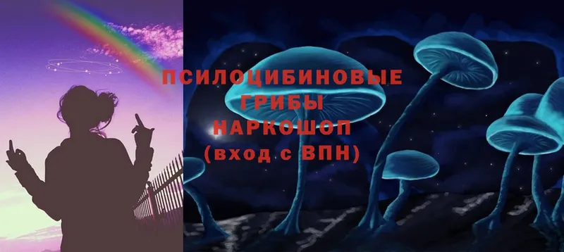 Галлюциногенные грибы Psilocybe Брюховецкая